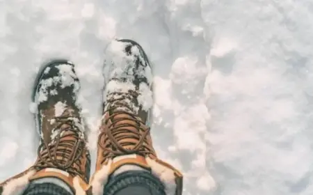 Vermont Shatters Record with Historic Snowfall