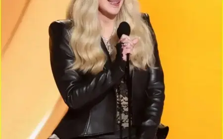 Cher Stuns in Sheer Dress at Grammys 2026 Surprise Appearance