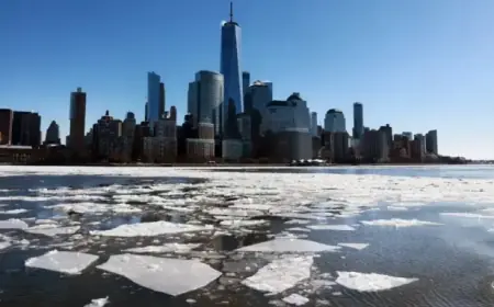 U.S. Stock Futures Decline Amid Bitcoin and Metals Market Sell-Off