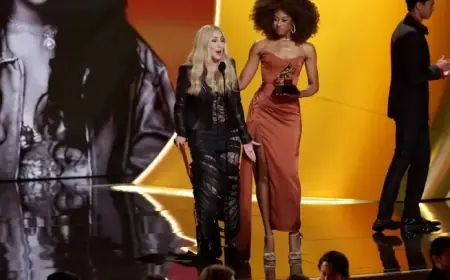 Cher Confuses Categories After Accepting Grammy Lifetime Achievement Award