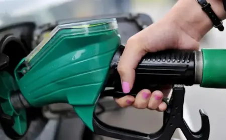 Find the Cheapest Petrol with Prices at a 5-Year Low