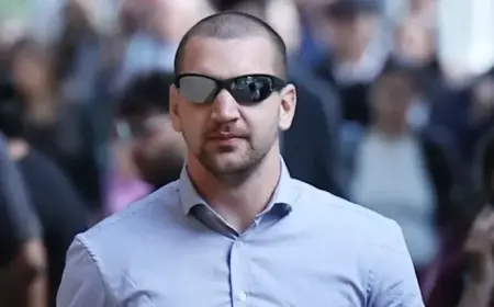 Pam the Bird Vandal Faces Trial in $700K Cartoon Graffiti Case