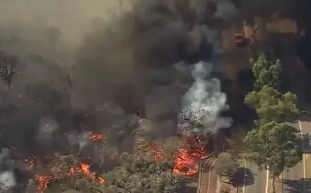 Cigarette Butt Sparks Devastating Perth Bushfire