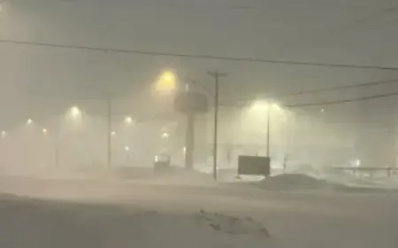 Snowstorm Forces Shutdown in Newfoundland Metro Area