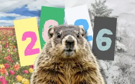 Groundhog Day 2026 Results Revealed: Discover the Outcome Now!