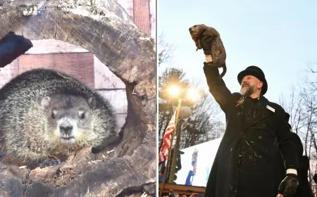 Punxsutawney Phil sees his shadow, calling for six more weeks of winter