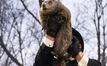 Groundhog Day 2026: Punxsutawney Phil calls for six more weeks of winter