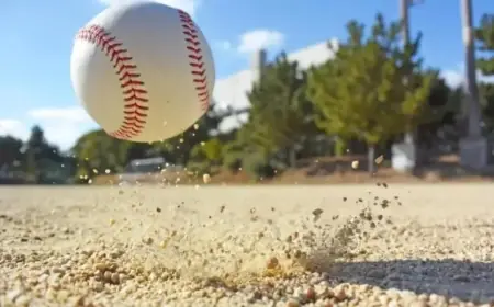 Why Bitcoin Stayed Stable While Gold and Silver Surged