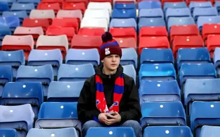 Crystal Palace Negotiates with Lyon Over Defender Transfer