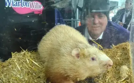 Fred the Groundhog Predicts Early Spring for Quebec in 2026