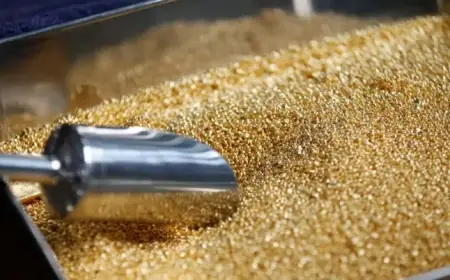 JP Morgan Projects Gold to Reach $6,300 Amid Strong Central Bank Demand