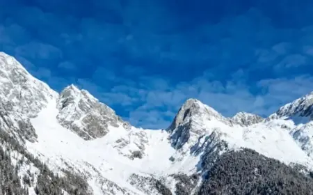 Exciting Film-Inspired Games Release Announced