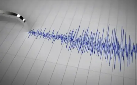 San Ramon Hit by 4.3 Earthquake Following 3.9 and Tremor Swarm, USGS Reports