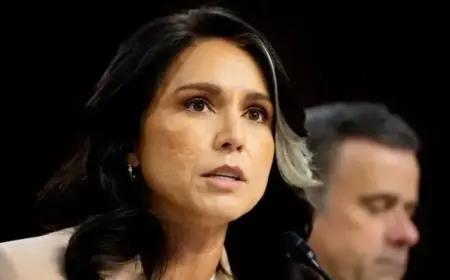 Tulsi Gabbard Faces Accusations of Delaying Whistleblower Complaint