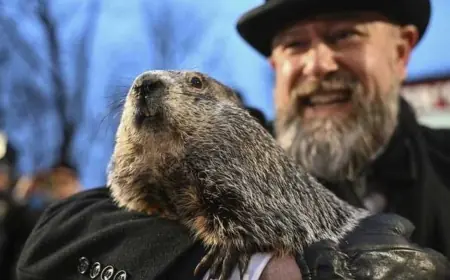 Groundhog Day 2026 results: Punxsutawney Phil sees his shadow, calls for more winter