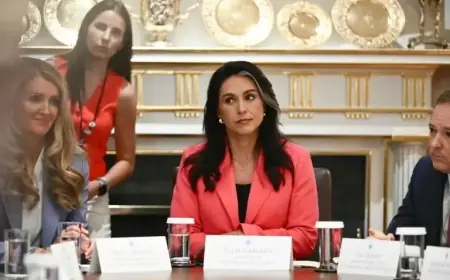 Report Warns Tulsi Gabbard Complaint May Harm National Security