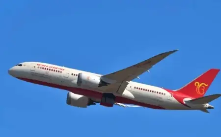 Air India Grounds Boeing 787-8 Due to Engine Fuel Switch Fault