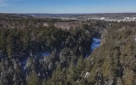 J.D. Irving Plans Forest Swap, Threatening Protected Lands