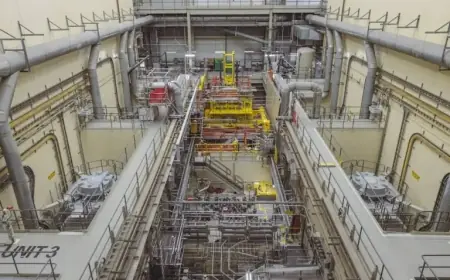 Darlington Nuclear Project Finishes Early and Under Budget, Lecce Announces