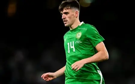 Ireland International Secures Exciting Championship Loan Move