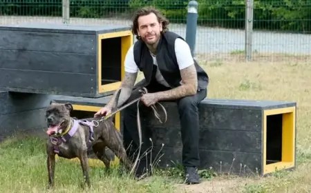 “Pete Wicks’ For Dogs’ Sake Premieres: Schedule and Full Details on U&W HD”