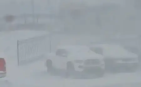 Historic Snowfall Blankets the Carolinas