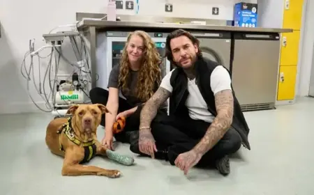 Pete Wicks’ ‘For Dogs’ Sake’ Premieres on U&W HD: Schedule & Details