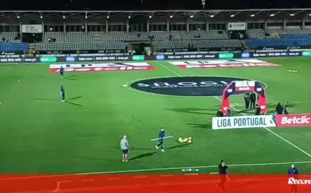 Casa Pia vs. FC Porto: A Pre-Match Look at Rio Maior Pitch Conditions