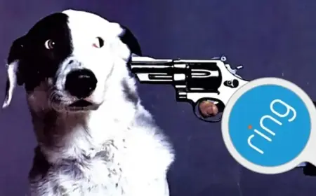 Amazon’s Ring Eases Surveillance Worries by Helping Find Lost Puppies