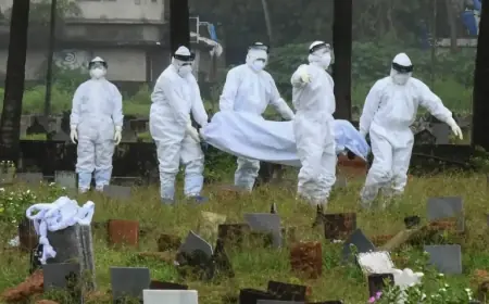 Understanding the Nipah Virus Outbreak in India: Key Facts and Precautions