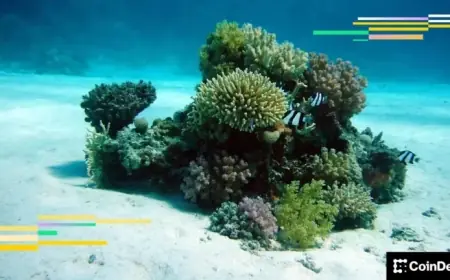 BTC Spot ETF Holders Facing Losses May Abandon Positions