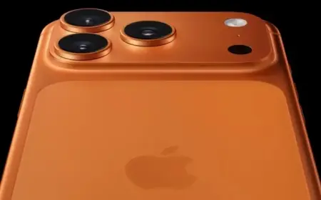 Top 2 Stocks to Buy for 2026 and Beyond