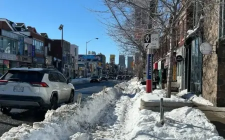 Toronto Battles Record Snowfall Cleanup Efforts
