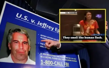 Who is Gabriela Rico Jiménez, the Mexican Linked to Epstein Case? | VIDEO