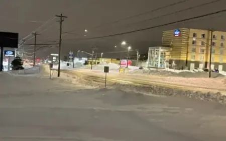 Metro Schools Delayed as Avalon Cleans Up 40+ cm Snowfall