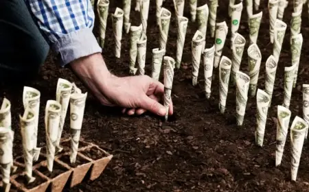 Invest $500 in This Dividend ETF for Long-Term Cash Flow