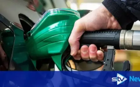 Compare Fuel Prices Easier: New Tool for All Petrol Stations