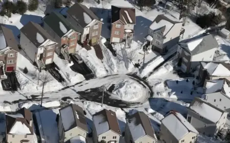 “Breaking: Exciting New Premiere Shakes Up Film Industry”