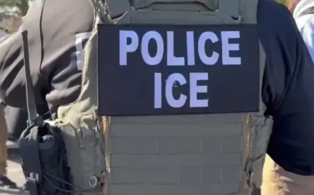 Federal Attorney Criticizes ICE Cases, Calling System Ineffective