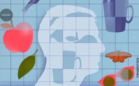 Exploring Mental Imagery: What’s Happening in the Brain?