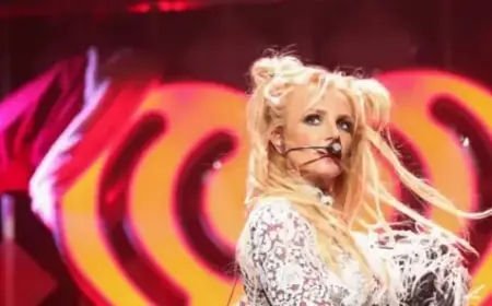 IRS Confirms Britney Spears’ $721,000 Tax Bill Valid in Court Ruling