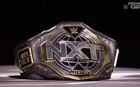 WWE NXT Champion Emerges Victorious in Thrilling Ladder Match