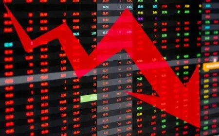 Xero Shares Plunge 14% to Multi-Year Low: Investigating the Causes