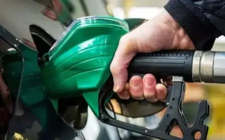 Petrol Drivers Face 16p Per Mile Charges Under New February Scheme