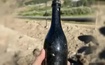 150-Year-Old Alcohol Bottle Unearthed in Rare Location