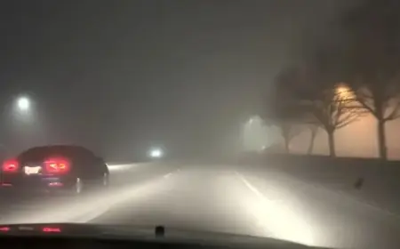 CHP, Driving Instructors Share Essential Tips for Safely Navigating Dense Fog