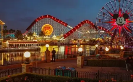 Measles Surge in SoCal After Infected Visitor’s LAX Arrival and Disney Visit