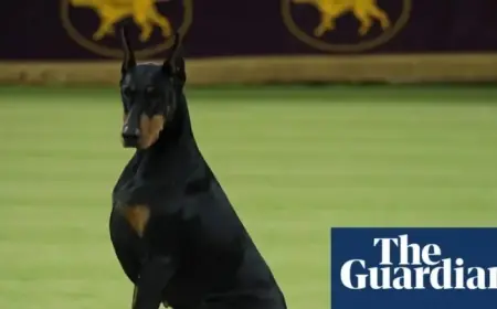 Doberman Penny Wins Best in Show; Catherine O’Hara Honored at Westminster