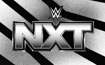 Ladder Match Headlines NXT TV Results: New Champions Crowned