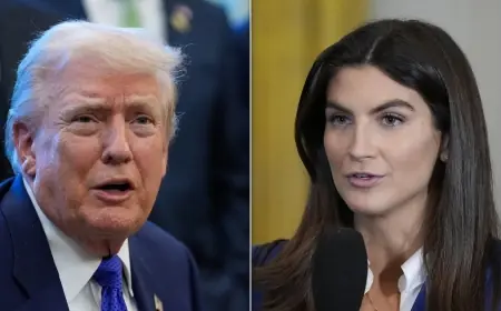 Kaitlan Collins drawn into Oval Office clash as Epstein files return to headlines